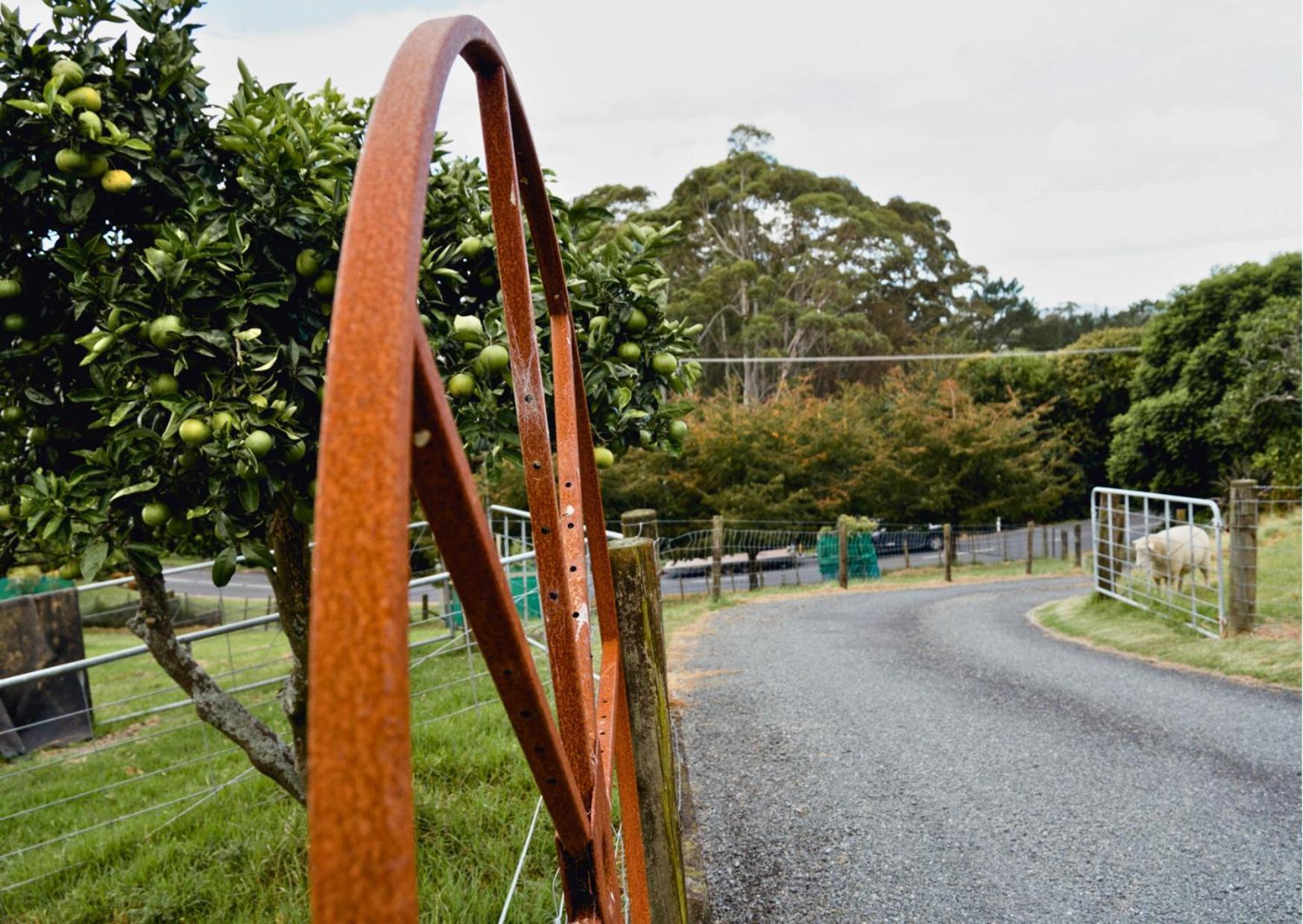 Minden Meadows Retreat Hotel Tauranga Exterior foto